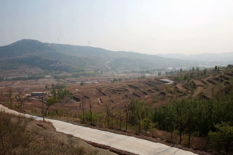 psb (33).jpg