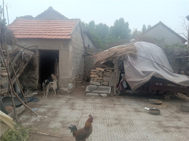 IMG20190709145725.jpg