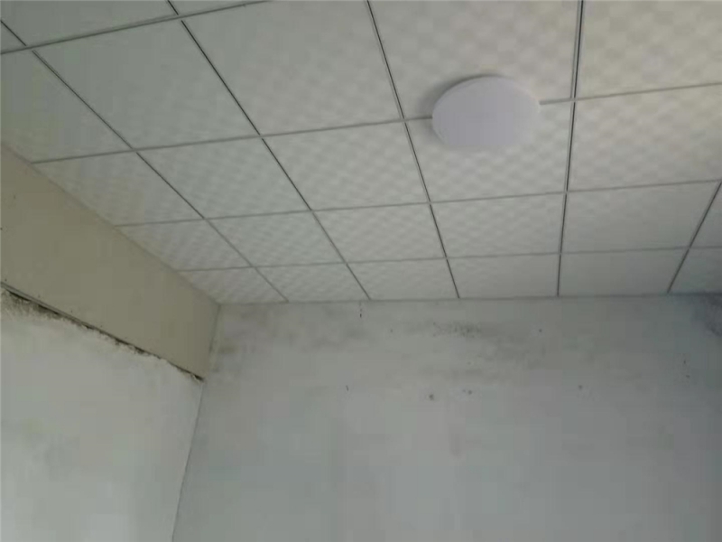 c680b6e2a1ccfeaa78535136615b75d.jpg